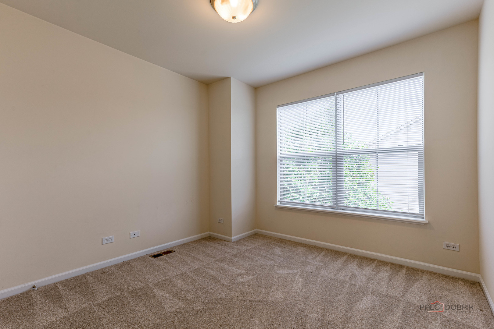 405 Alpine Springs Drive, Vernon Hills, IL 60061