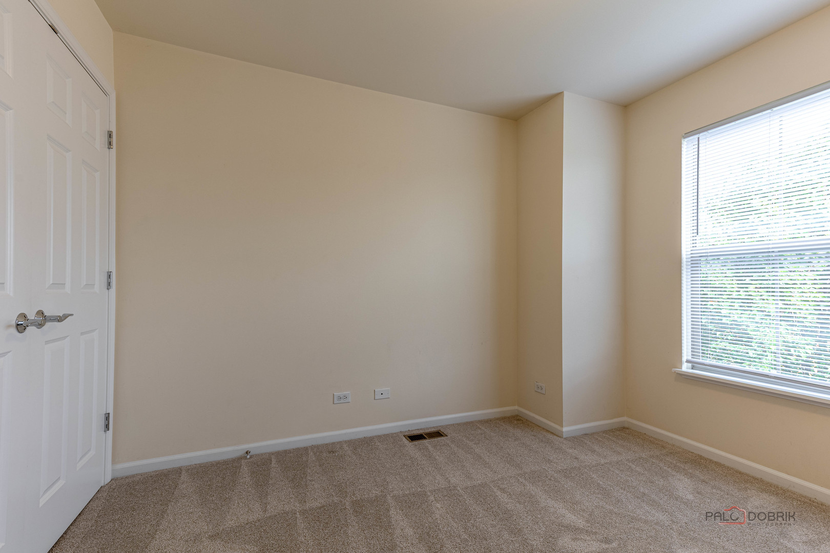 405 Alpine Springs Drive, Vernon Hills, IL 60061