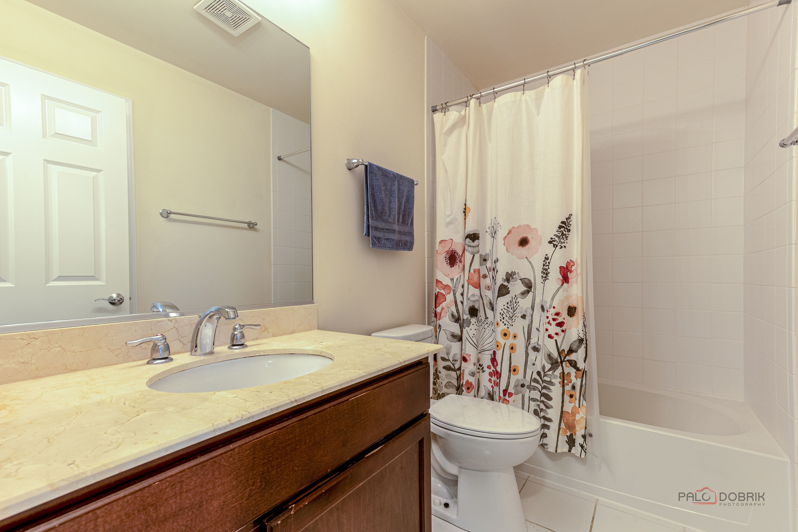 405 Alpine Springs Drive, Vernon Hills, IL 60061