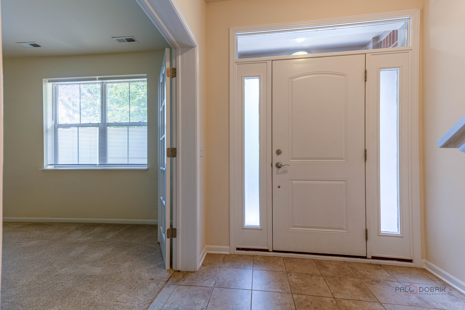 405 Alpine Springs Drive, Vernon Hills, IL 60061