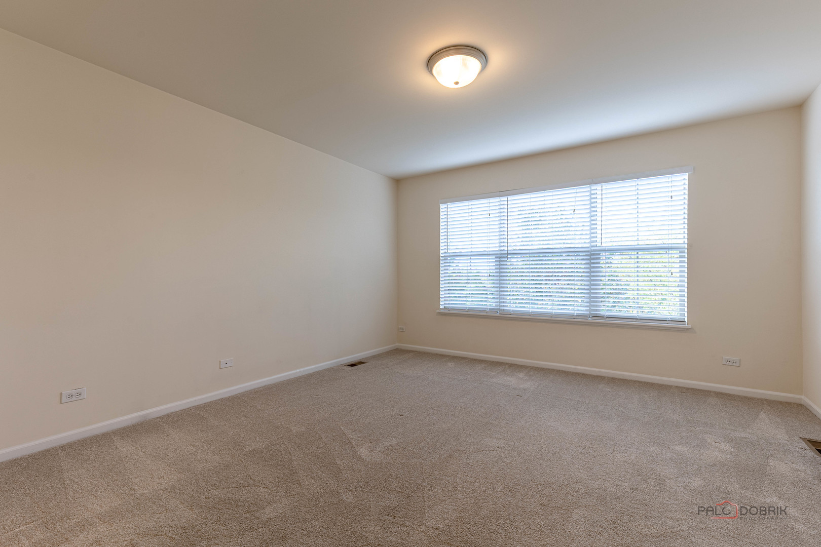 405 Alpine Springs Drive, Vernon Hills, IL 60061