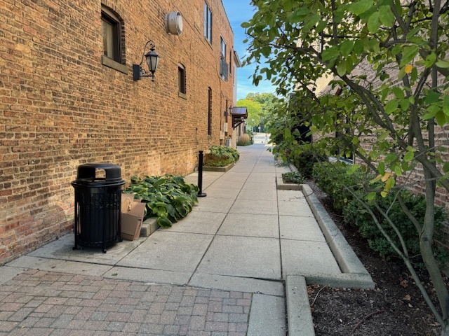 539 N Milwaukee Avenue #4, Libertyville, IL 60048