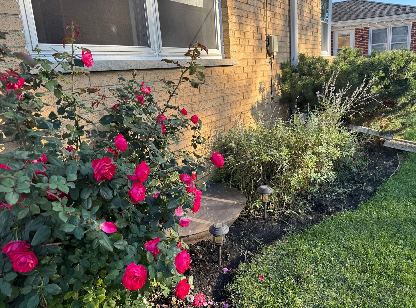 1440 S 4th Avenue, Des Plaines, IL 60018
