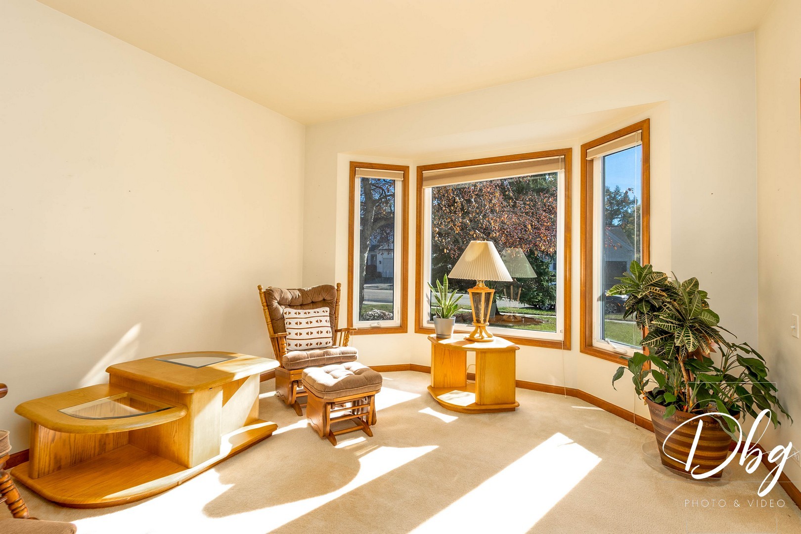 252 Carters Grove Court, Grayslake, IL 60030