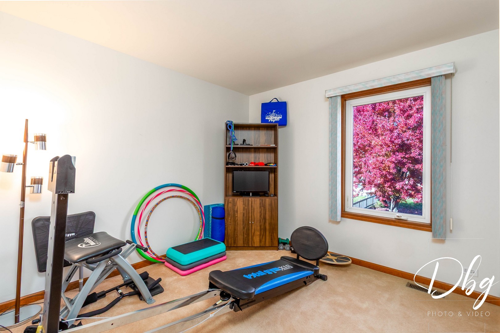 252 Carters Grove Court, Grayslake, IL 60030