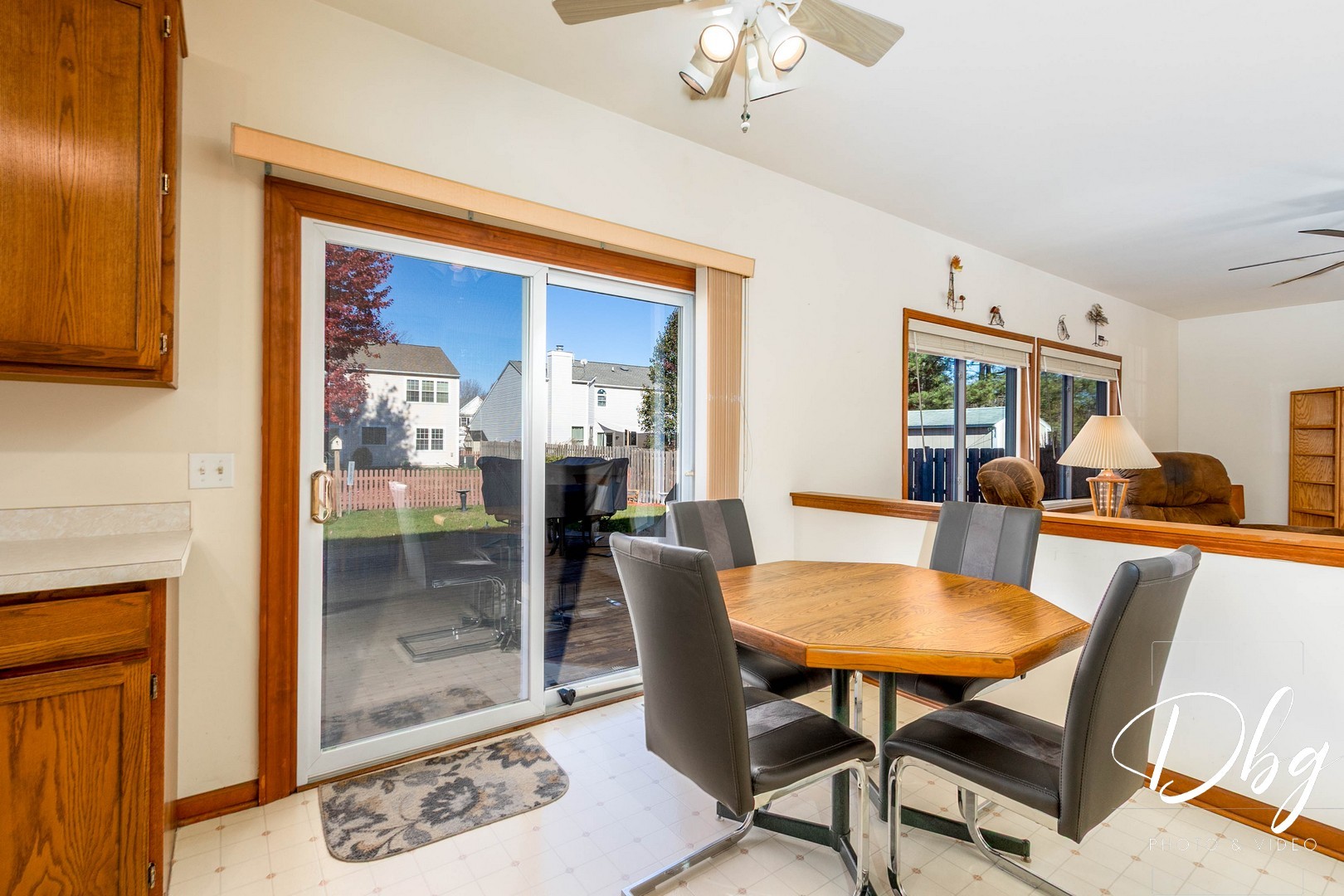 252 Carters Grove Court, Grayslake, IL 60030