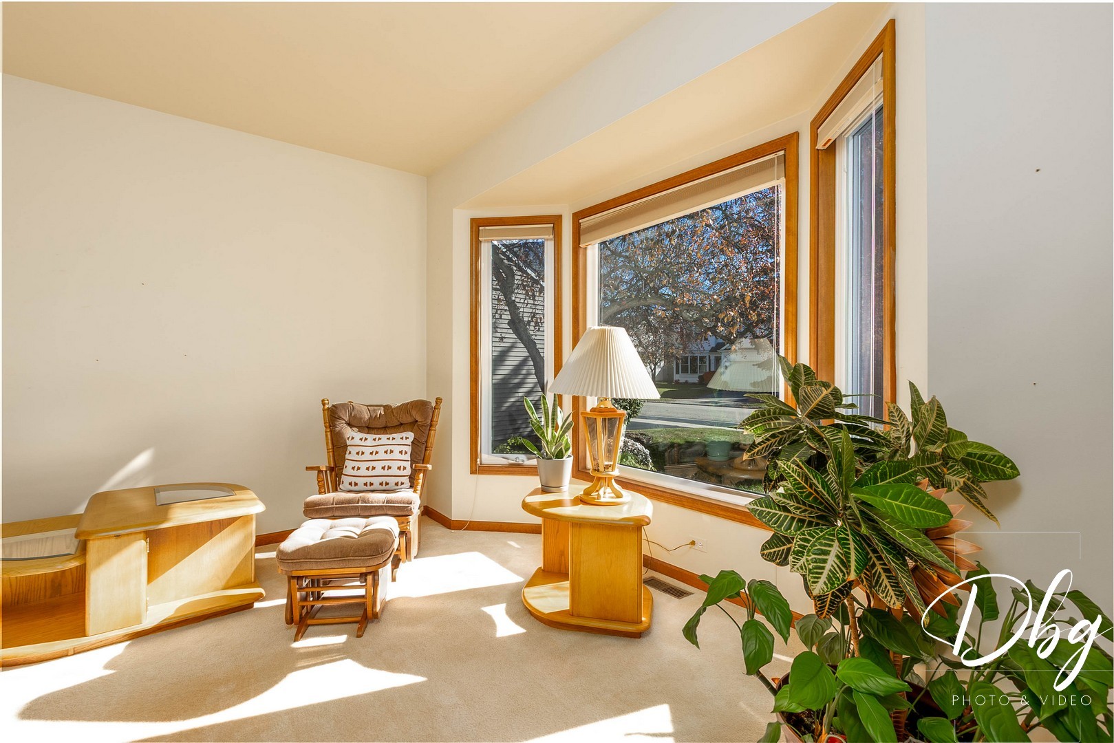 252 Carters Grove Court, Grayslake, IL 60030