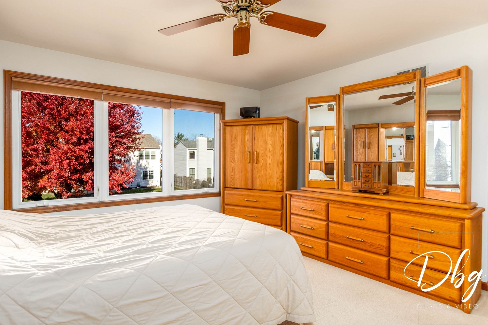 252 Carters Grove Court, Grayslake, IL 60030