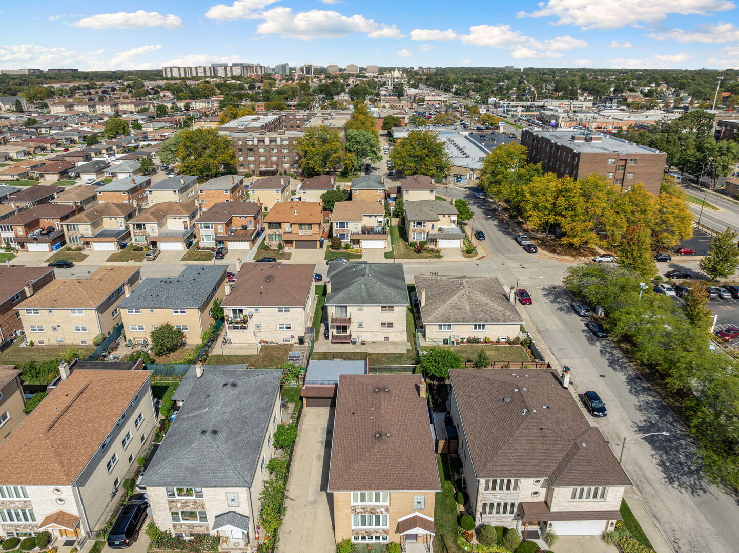 8427 W Windsor Avenue #1, Chicago, IL 60656