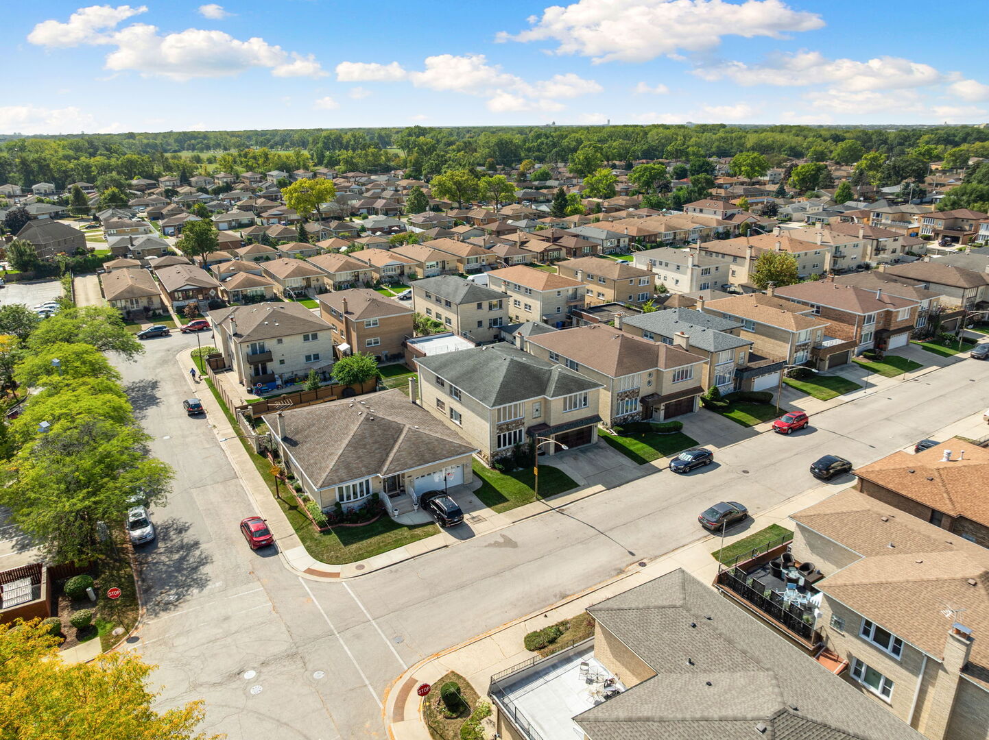 8427 W Windsor Avenue #1, Chicago, IL 60656