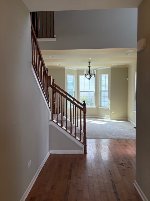 175 Owen Street, Matteson, IL 60443