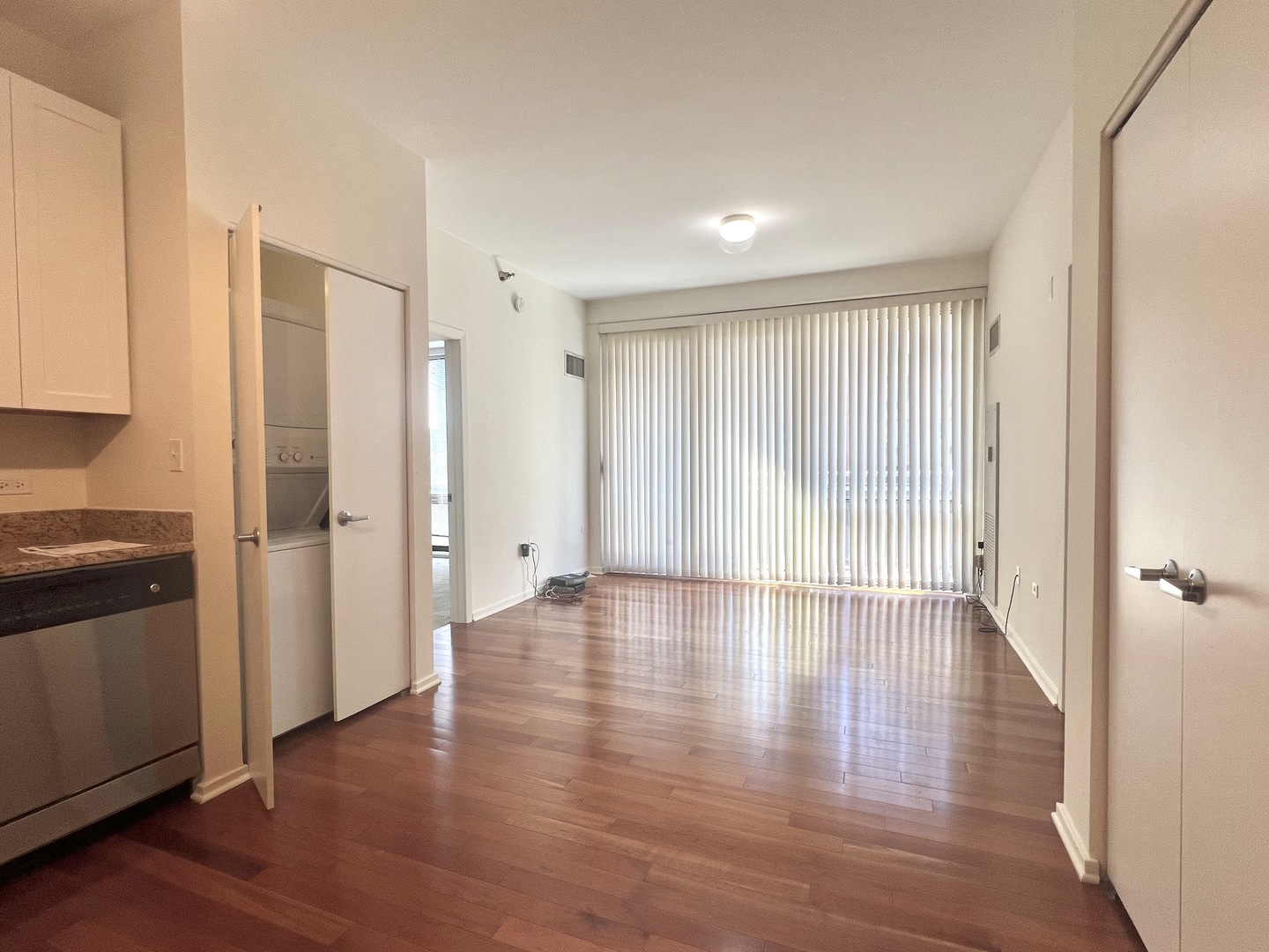 1 E 8th Street #307, Chicago, IL 60605