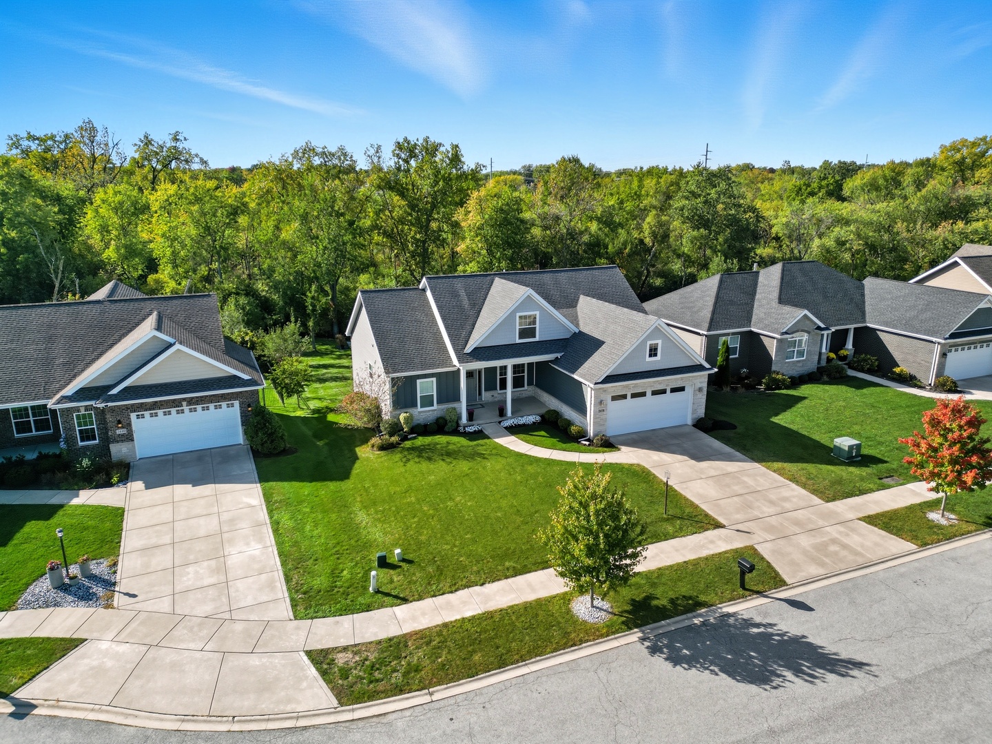2438 Braeburn Place, Schererville, IN 46375