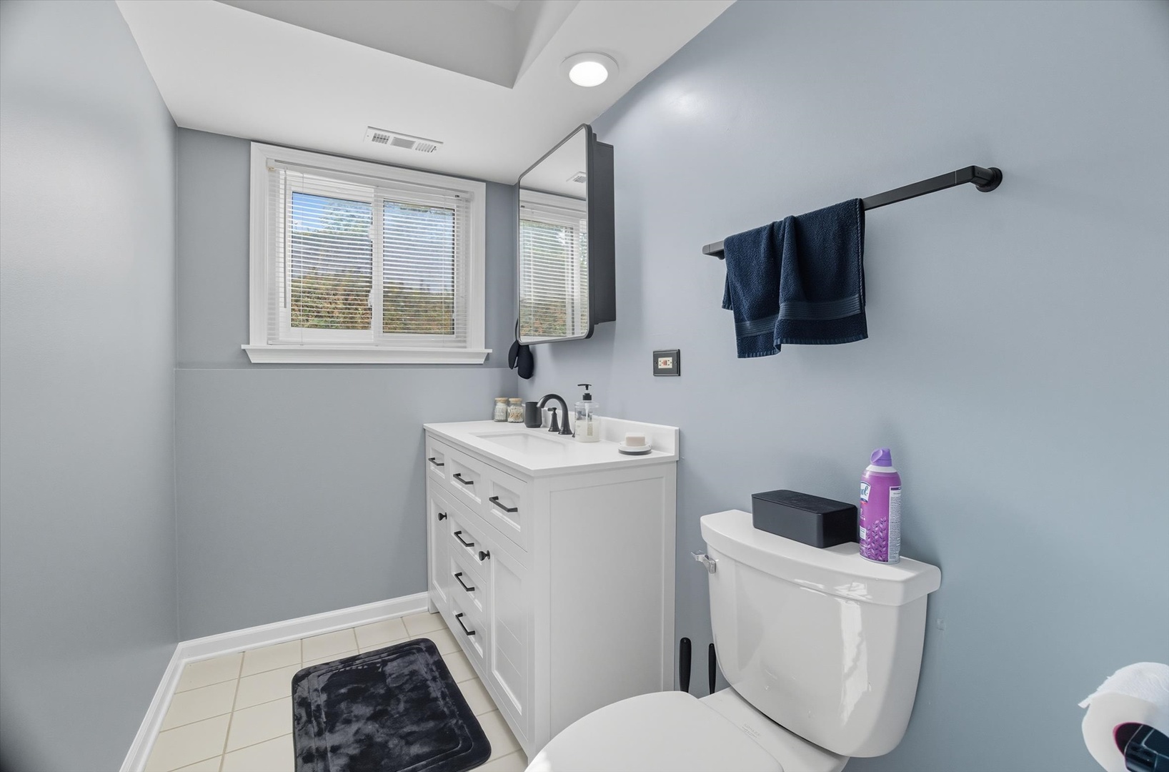 232 W Beech Drive, Schaumburg, IL 60193