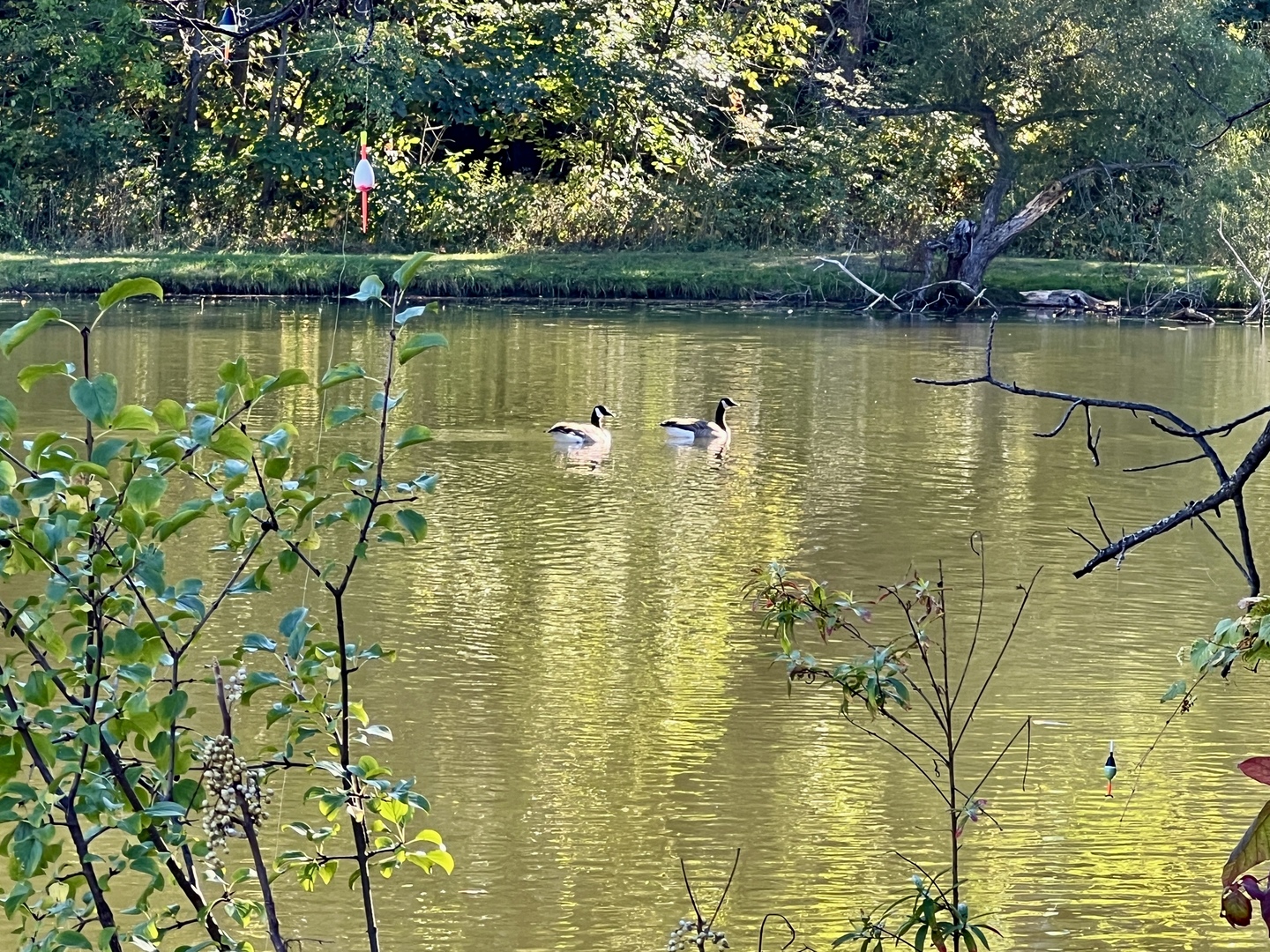 5985 Lakeside Place #302, Tinley Park, IL 60477
