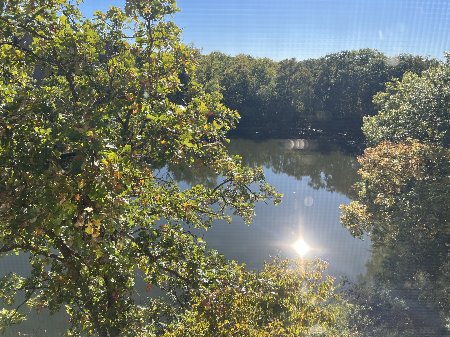 5985 Lakeside Place #302, Tinley Park, IL 60477