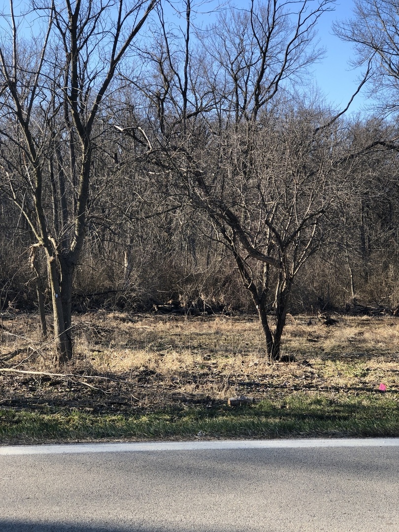 Oak Meadow Lot 2 Hadley Road, Homer Glen, IL 60491