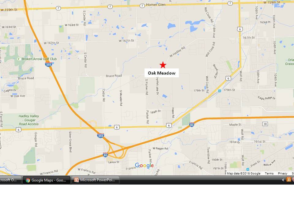 Oak Meadow Lot 2 Hadley Road, Homer Glen, IL 60491