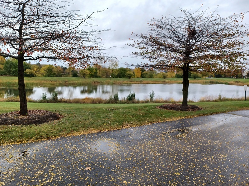 24333 Leski Lane, Plainfield, IL 60585