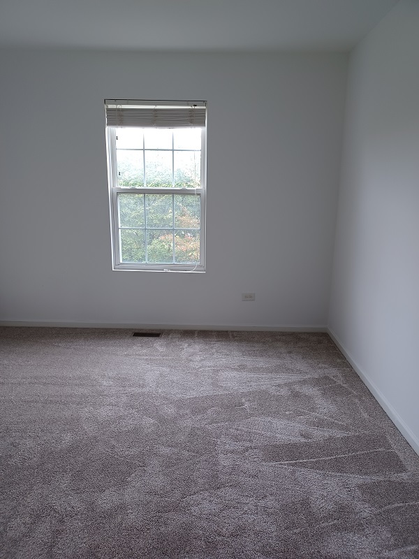 24333 Leski Lane, Plainfield, IL 60585