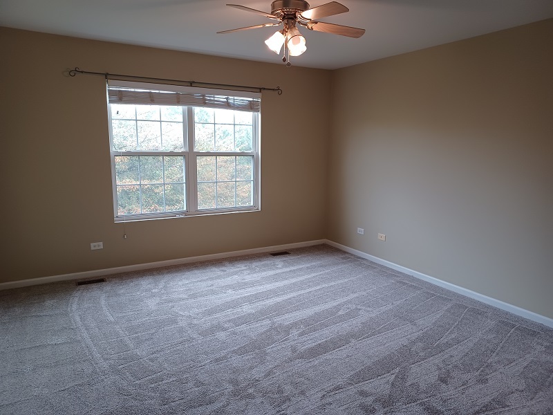 24333 Leski Lane, Plainfield, IL 60585