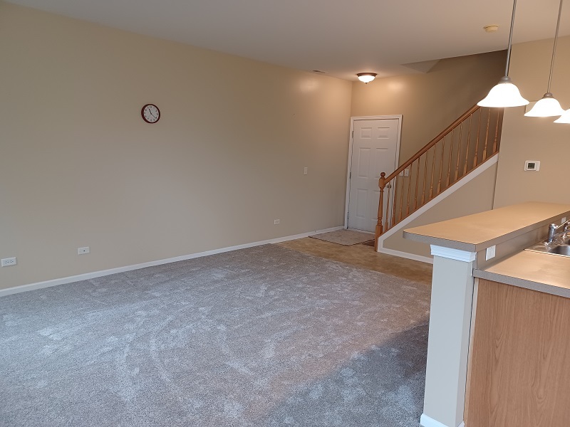 24333 Leski Lane, Plainfield, IL 60585