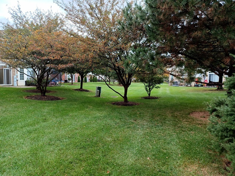 24333 Leski Lane, Plainfield, IL 60585