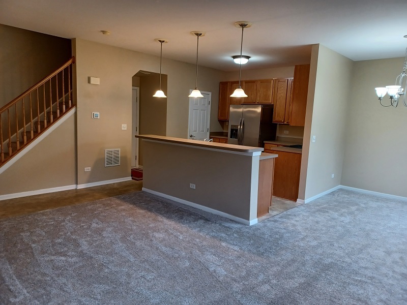 24333 Leski Lane, Plainfield, IL 60585