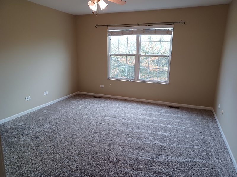 24333 Leski Lane, Plainfield, IL 60585