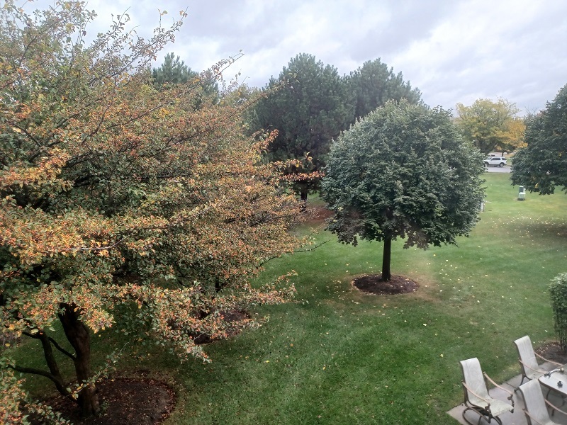 24333 Leski Lane, Plainfield, IL 60585