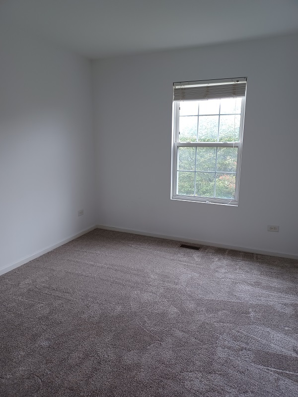 24333 Leski Lane, Plainfield, IL 60585