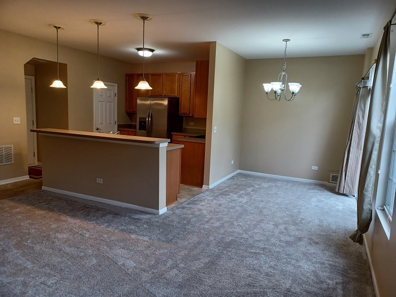 24333 Leski Lane, Plainfield, IL 60585