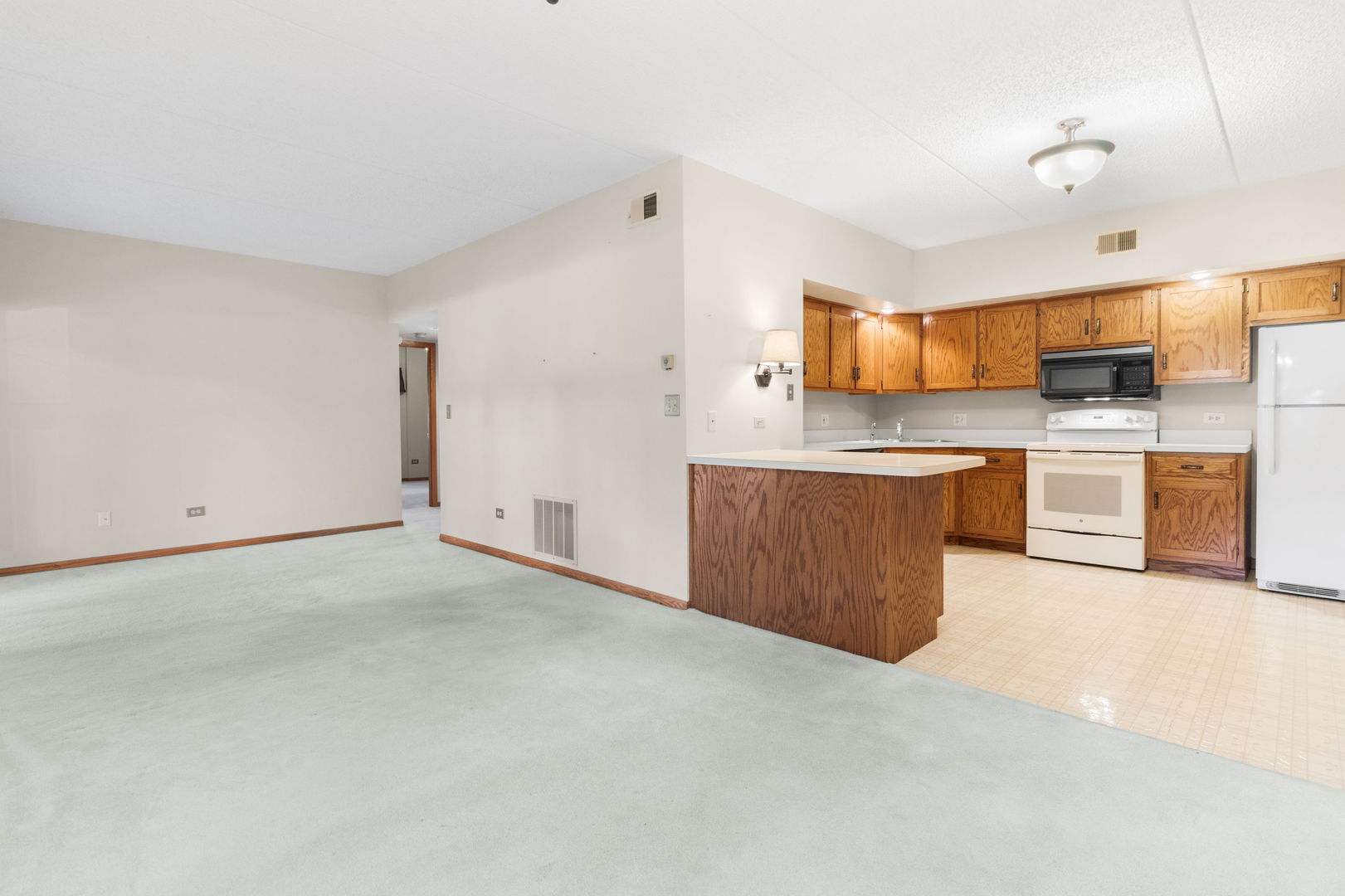 3119 Ingalls Avenue #2A, Joliet, IL 60435
