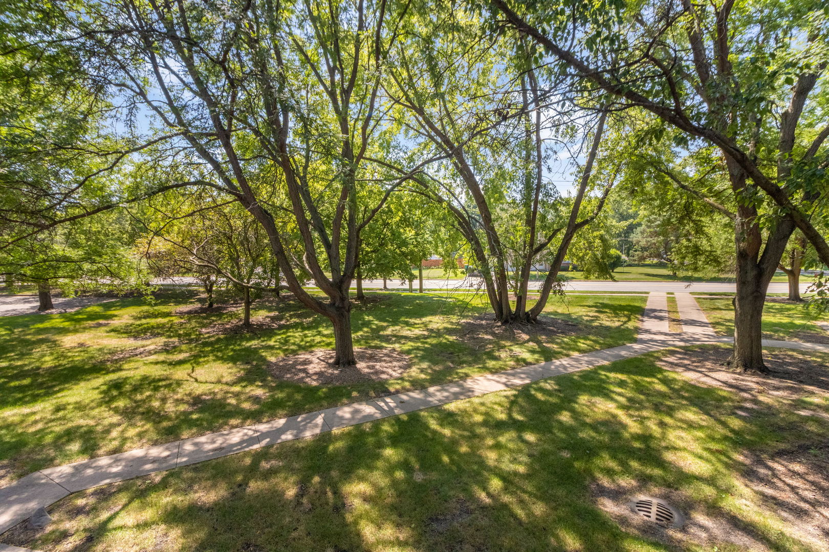 3119 Ingalls Avenue #2A, Joliet, IL 60435