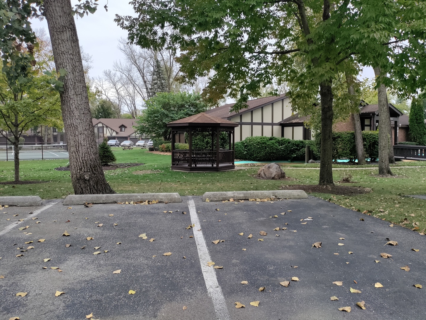 11126 Cottonwood Drive #11D, Palos Hills, IL 60465