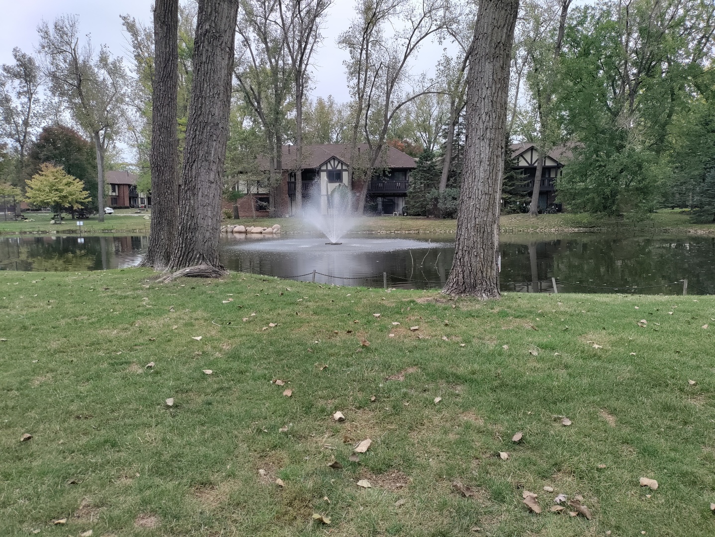 11126 Cottonwood Drive #11D, Palos Hills, IL 60465
