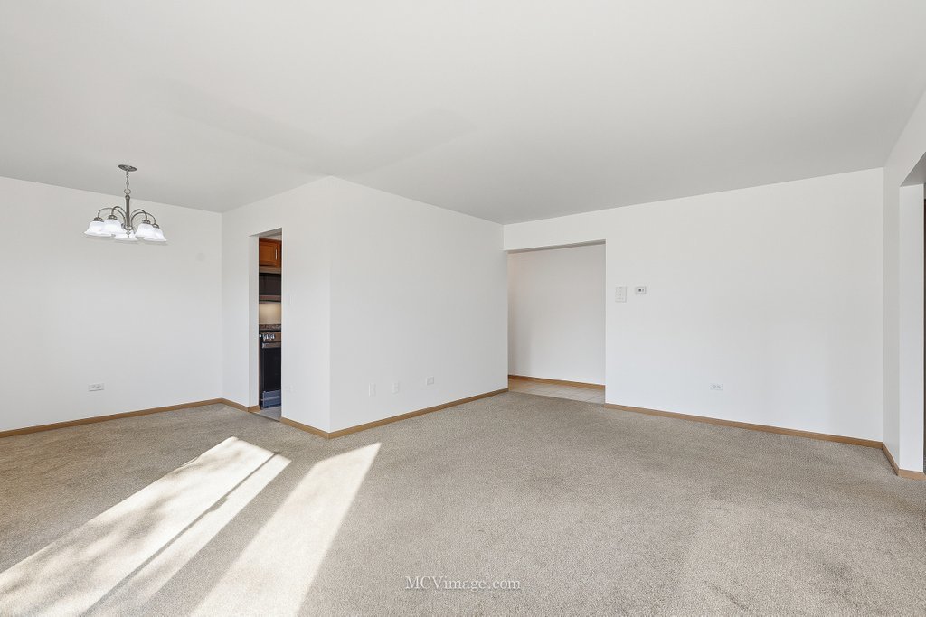 15701 Peggy Lane #3, Oak Forest, IL 60452