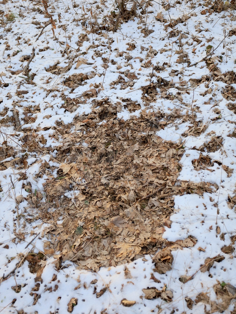 000 US BYPASS 20 Highway, Freeport, IL 61032