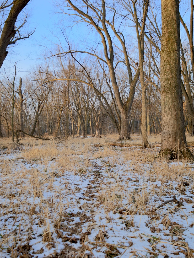 000 US BYPASS 20 Highway, Freeport, IL 61032