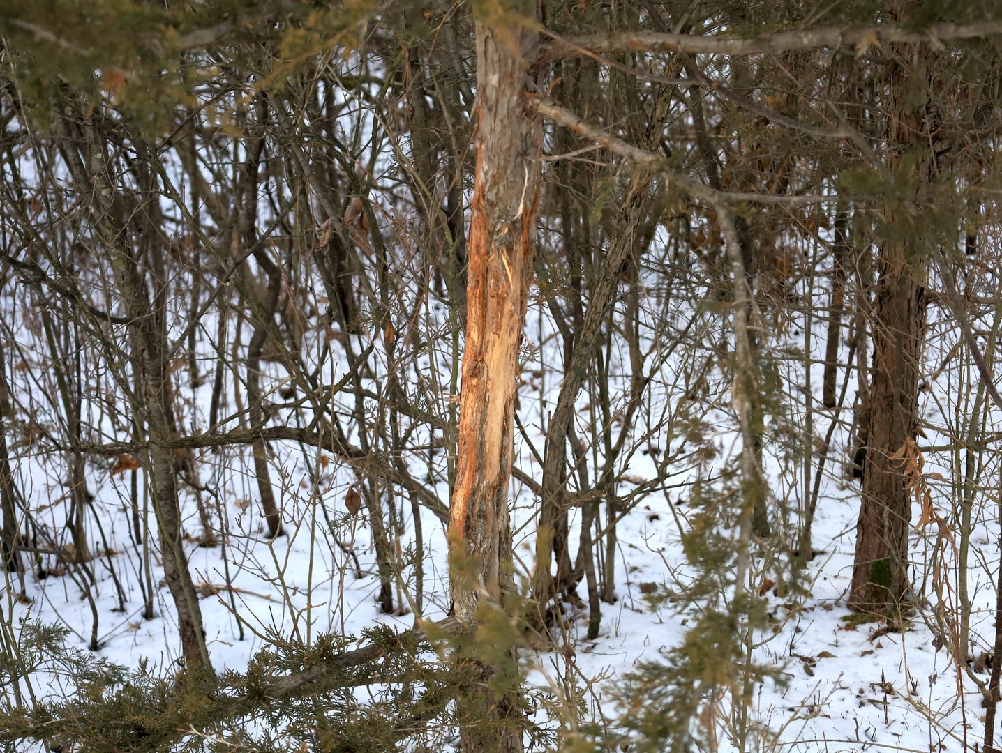 000 US BYPASS 20 Highway, Freeport, IL 61032