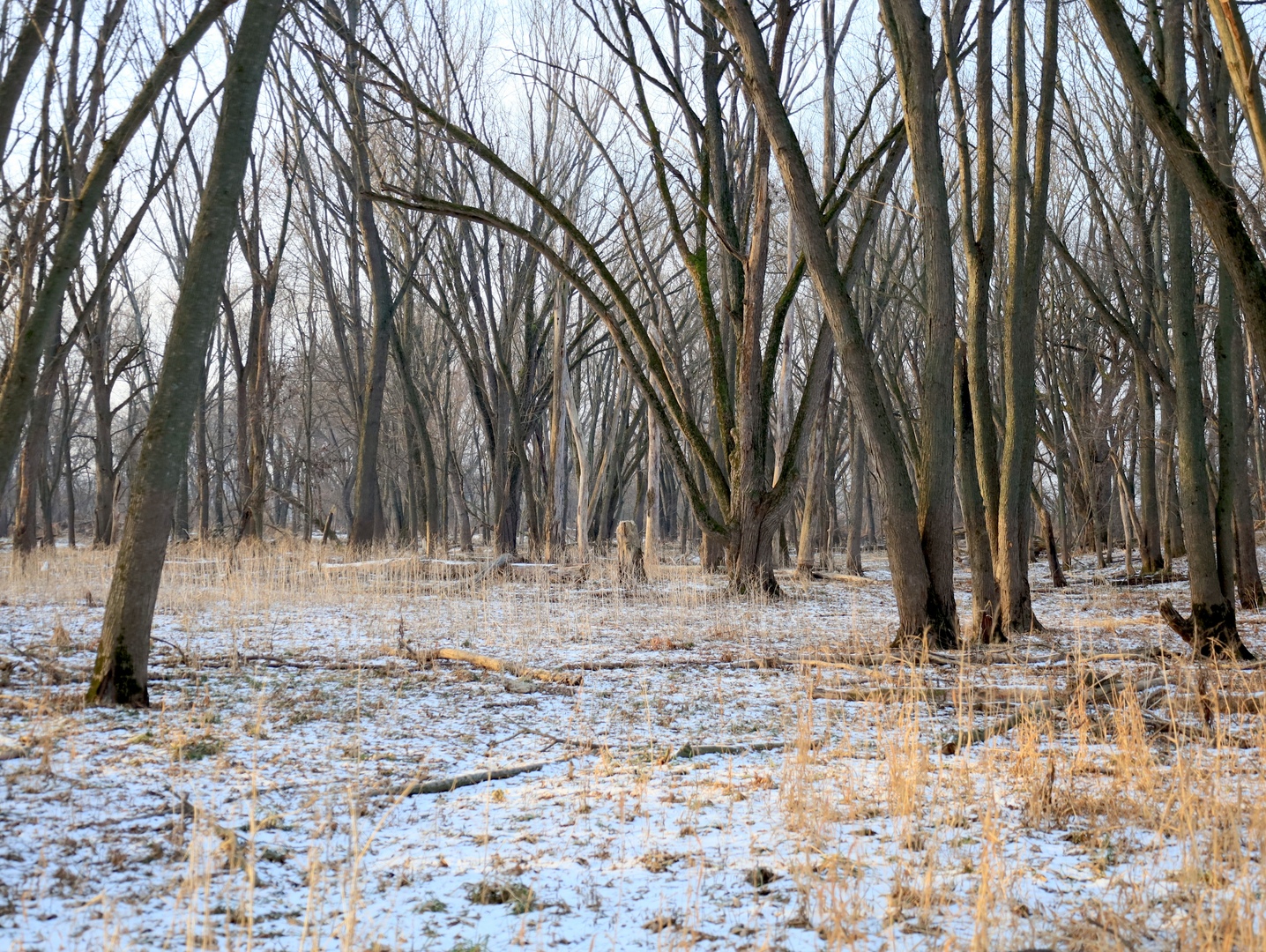 000 US BYPASS 20 Highway, Freeport, IL 61032