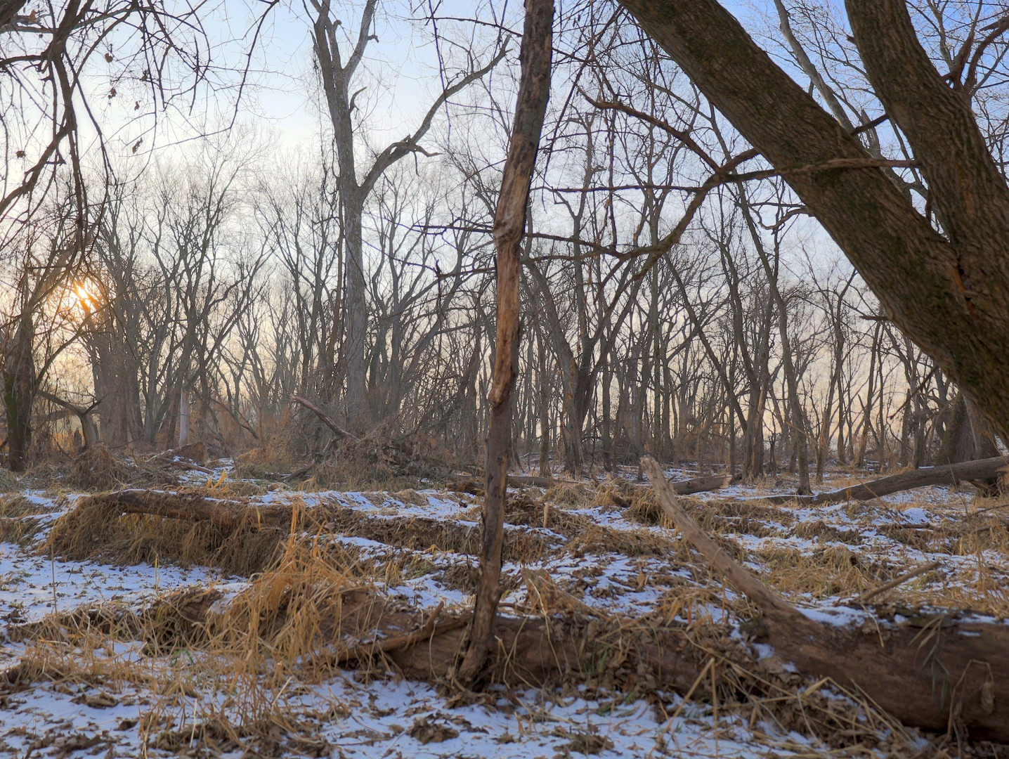 000 US BYPASS 20 Highway, Freeport, IL 61032