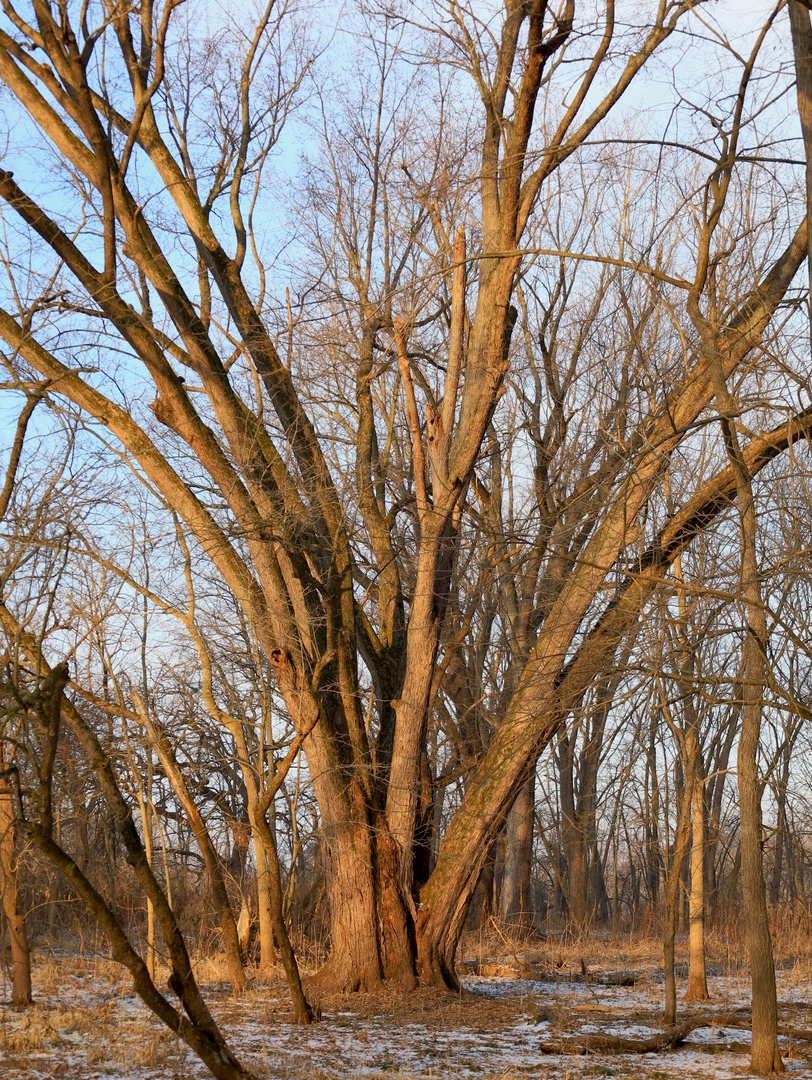 000 US BYPASS 20 Highway, Freeport, IL 61032