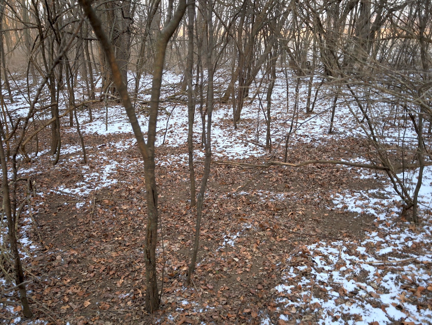 000 US BYPASS 20 Highway, Freeport, IL 61032