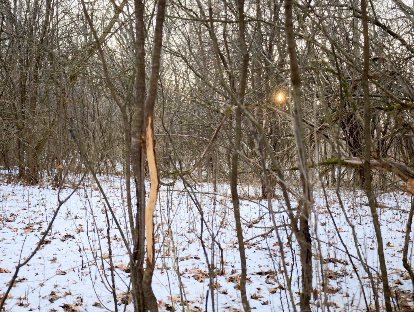 000 US BYPASS 20 Highway, Freeport, IL 61032