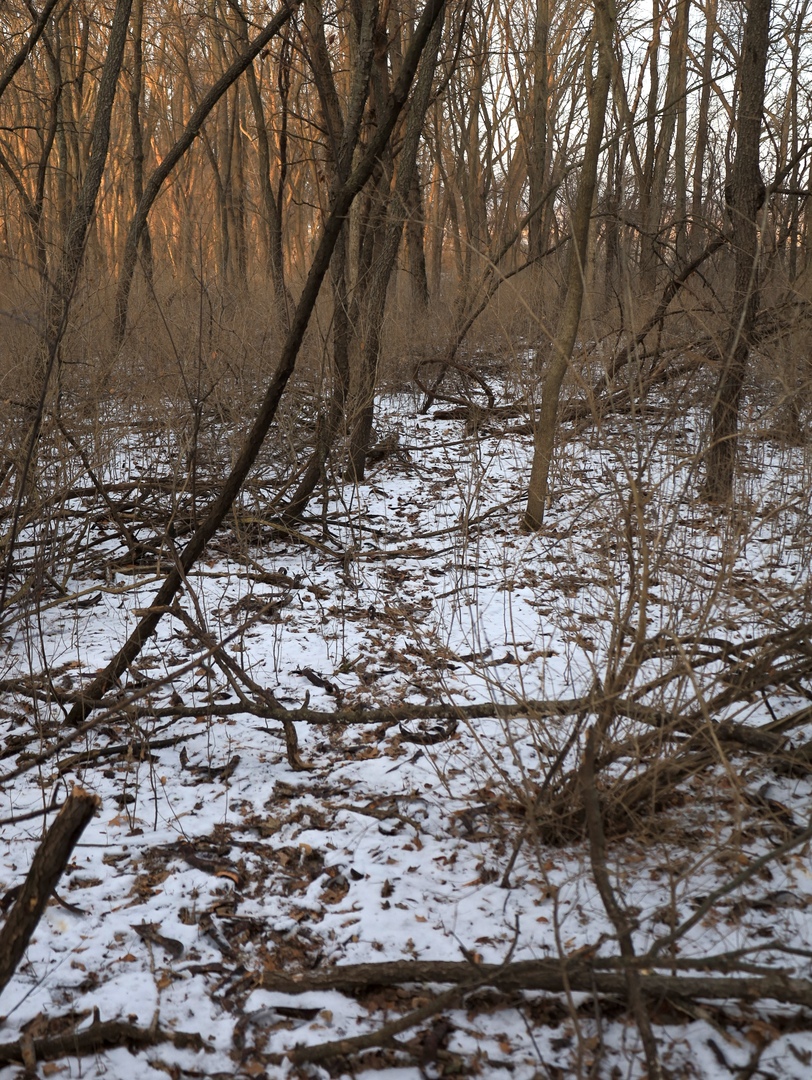 000 US BYPASS 20 Highway, Freeport, IL 61032