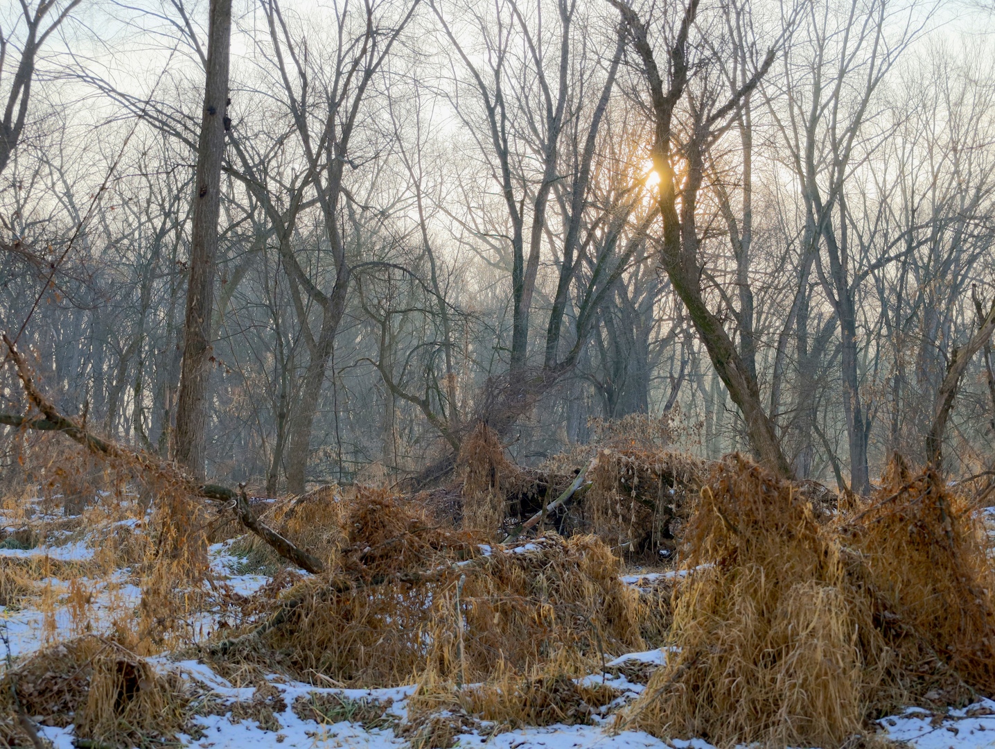 000 US BYPASS 20 Highway, Freeport, IL 61032