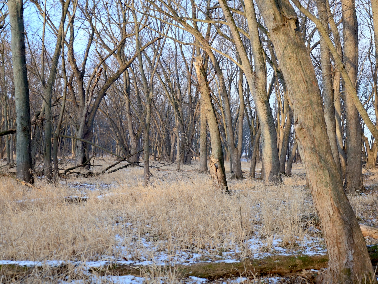 000 US BYPASS 20 Highway, Freeport, IL 61032