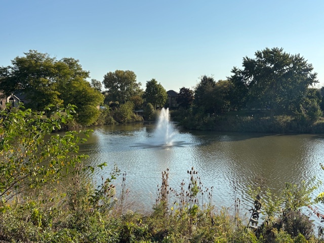 14947 Landings Lane, Oak Forest, IL 60452