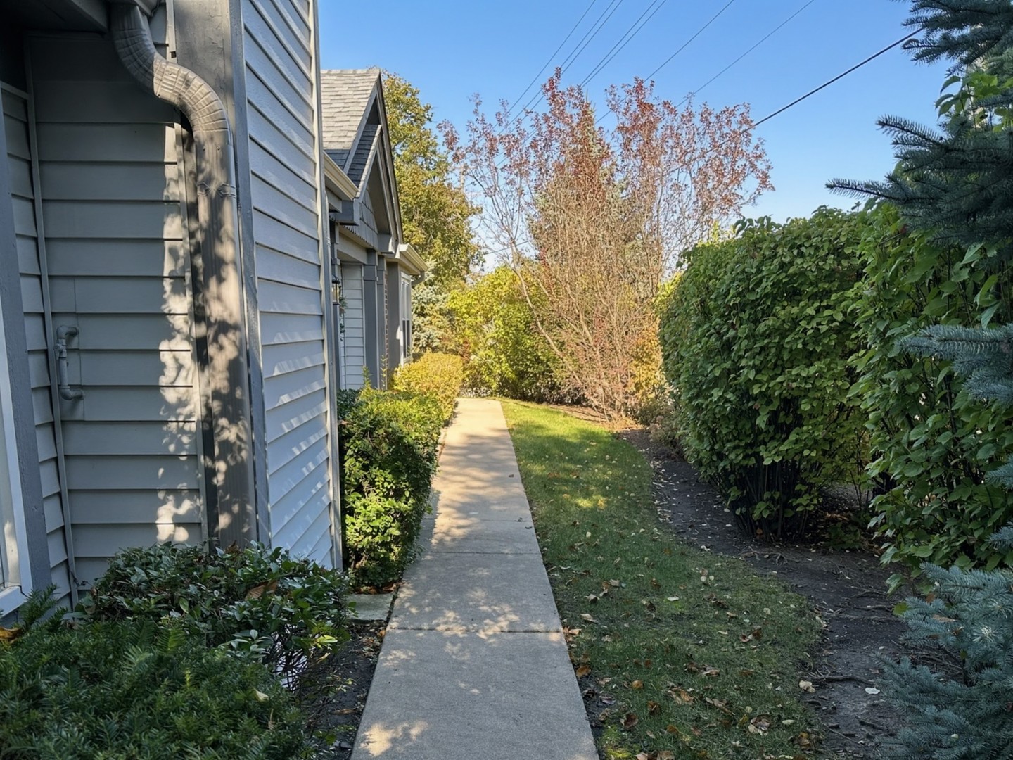 393 BENTLEY Place, Buffalo Grove, IL 60089